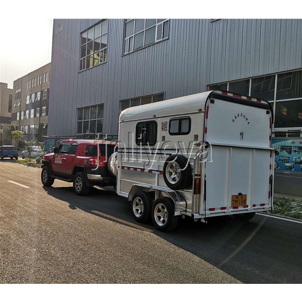 湖北两马方头车
