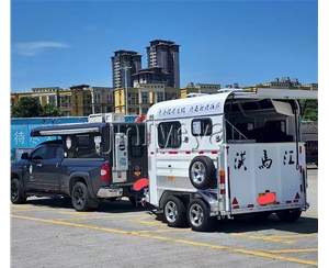 湖北两马位马车
